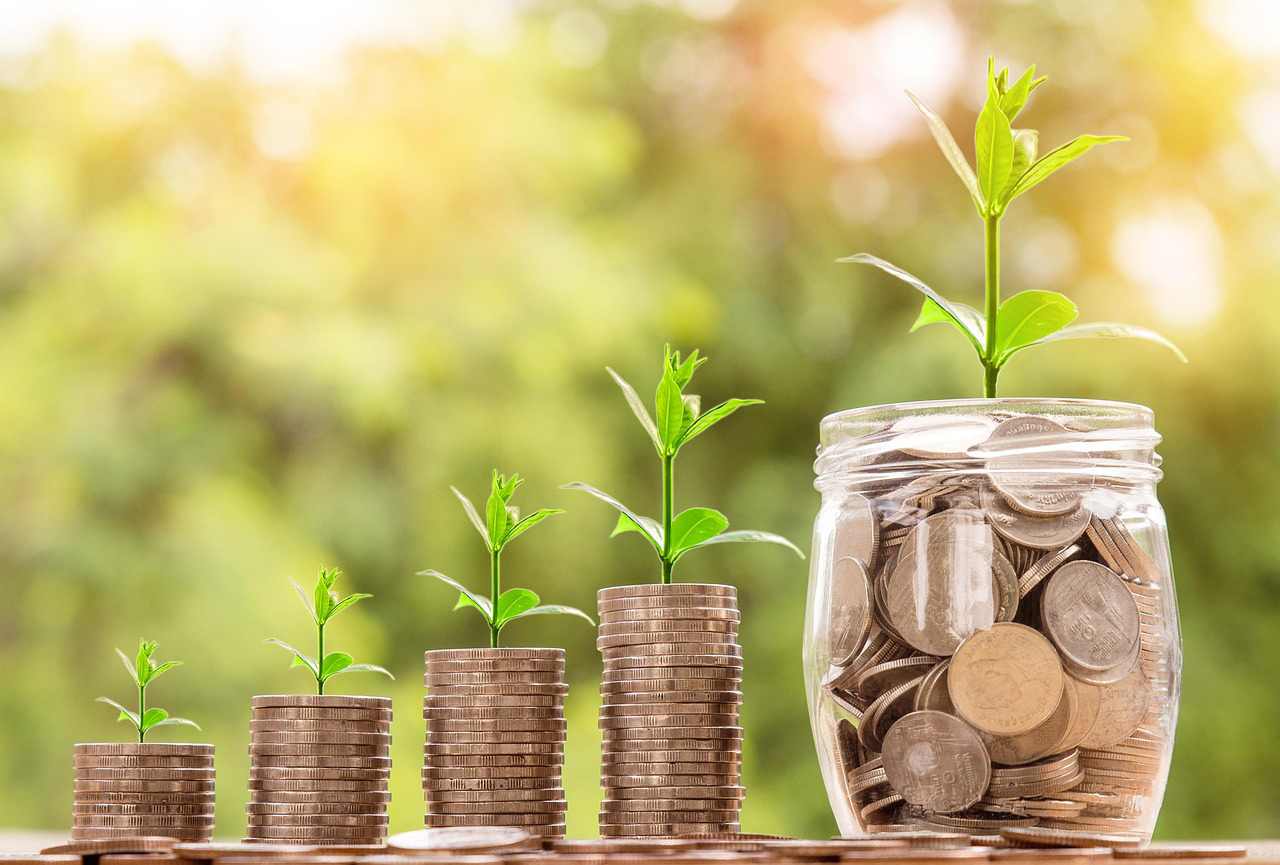 Investment-cover